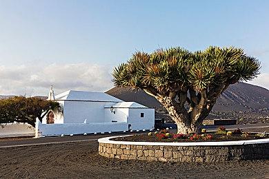 《龙腾世纪：影障守护者》同伴之间会相互恋爱