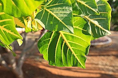 游戏新调查研究显示 《上古卷轴5：天际》最容易让人沉浸其中