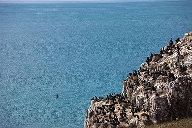 6元就能与女神甜蜜恋爱？真人沉浸恋爱向游戏29号上线steam
